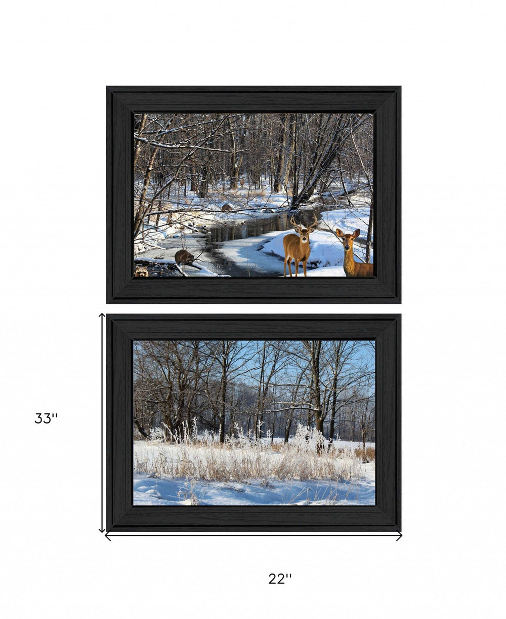 Set Of Two Great Outdoors Nature or Winter Forest 3 Black Framed Print Wall Art - Homeroots - Flyclothing LLC