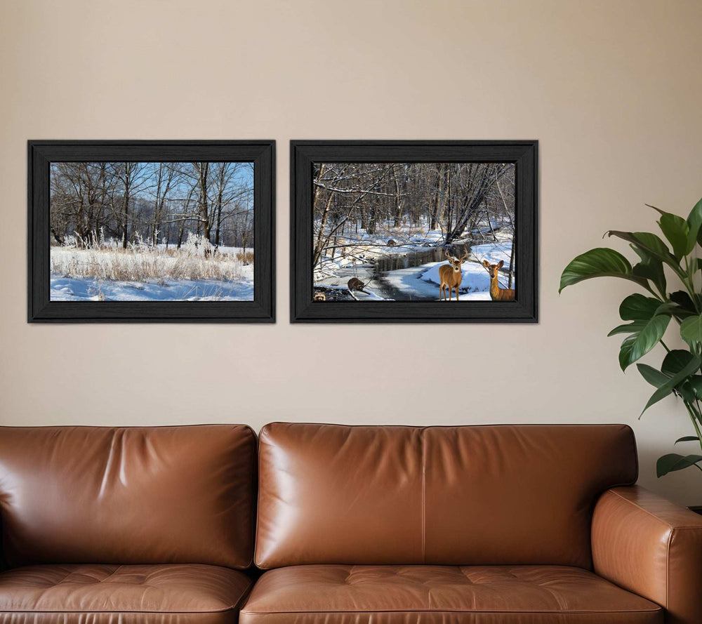 Set Of Two Great Outdoors Nature or Winter Forest 3 Black Framed Print Wall Art - Homeroots - Flyclothing LLC