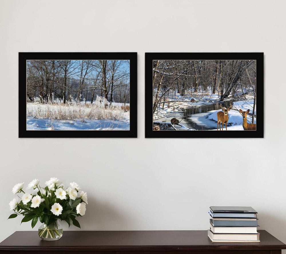 Set Of Two Great Outdoors Nature or Winter Forest 1 Black Framed Print Wall Art - Homeroots - Flyclothing LLC