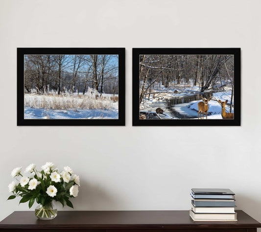 Set Of Two Great Outdoors Nature or Winter Forest 1 Black Framed Print Wall Art - Homeroots - Flyclothing LLC