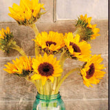 Country Sunflowers 1 Black Framed Print Wall Art - Homeroots - Flyclothing LLC