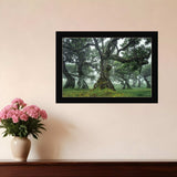 Enchanted Forest I 1 Black Framed Print Wall Art - Homeroots - Flyclothing LLC