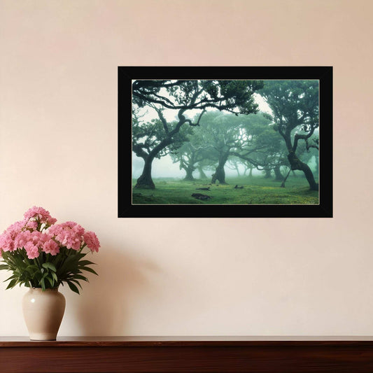 Enchanted Forest II 1 Black Framed Print Wall Art - Homeroots - Flyclothing LLC