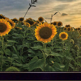 Midwest Living I Black Framed Print Wall Art - Homeroots - Flyclothing LLC