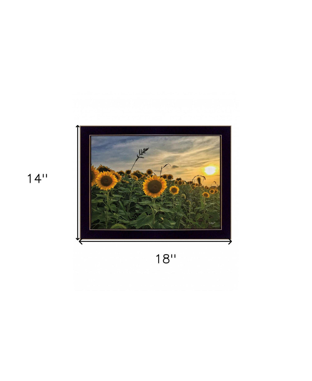 Midwest Living I Black Framed Print Wall Art - Homeroots - Flyclothing LLC