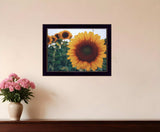 Midwest Livin II 1 Black Framed Print Wall Art - Homeroots - Flyclothing LLC