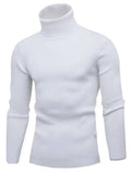Men's Turtleneck Long Sleeve Ribbed Sweater - Trendsi - Flyclothing LLC