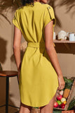 Tied Notched Short Sleeve Dress - Trendsi - Flyclothing LLC