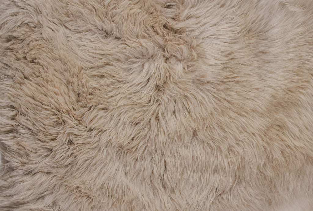 5' X 6' Taupe Wool Sheepskin Handmade Area Rug - Homeroots - Flyclothing LLC