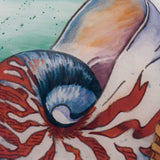 Sea Shell Hand Painted Mouth Blown Glass Ornament - Homeroots - Flyclothing LLC