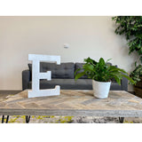 16" Distressed White Wash Wooden Initial Letter E Sculpture - Homeroots