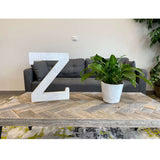 16" Distressed White Wash Wooden Initial Letter Z Sculpture - Homeroots