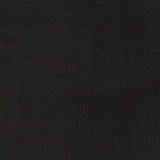 4' X 6' Black Stain Resistant Indoor Outdoor Area Rug - Homeroots - Flyclothing LLC