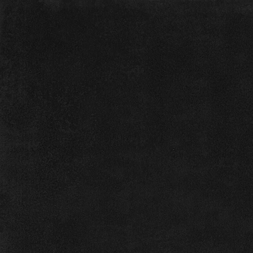 4' X 6' Black Stain Resistant Indoor Outdoor Area Rug - Homeroots - Flyclothing LLC