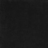 4' X 6' Black Stain Resistant Indoor Outdoor Area Rug - Homeroots - Flyclothing LLC