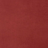 10' X 14' Brick Red Stain Resistant Indoor Outdoor Area Rug - Homeroots - Flyclothing LLC