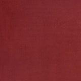 5' X 7' Brick Red Stain Resistant Indoor Outdoor Area Rug - Homeroots - Flyclothing LLC