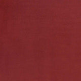 6' X 9' Brick Red Stain Resistant Indoor Outdoor Area Rug - Homeroots - Flyclothing LLC