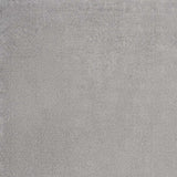 6' X 9' Silver Grey Indoor Outdoor Area Rug - Homeroots - Flyclothing LLC
