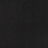 3' X 5' Black Stain Resistant Indoor Outdoor Area Rug - Homeroots - Flyclothing LLC