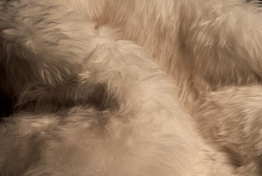 2' X 6' Platinum New Zealand Lambs Wool Handmade Area Rug - Homeroots - Flyclothing LLC