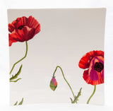 Red and White Six Piece Square Floral Bone China Service For Six Dinner Plate Set - Homeroots - Flyclothing LLC