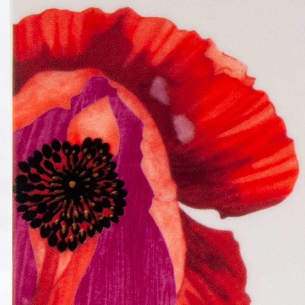 Red and White Six Piece Square Floral Bone China Service For Six Dinner Plate Set - Homeroots - Flyclothing LLC