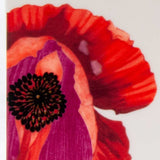 Red and White Six Piece Square Floral Bone China Service For Six Dinner Plate Set - Homeroots - Flyclothing LLC