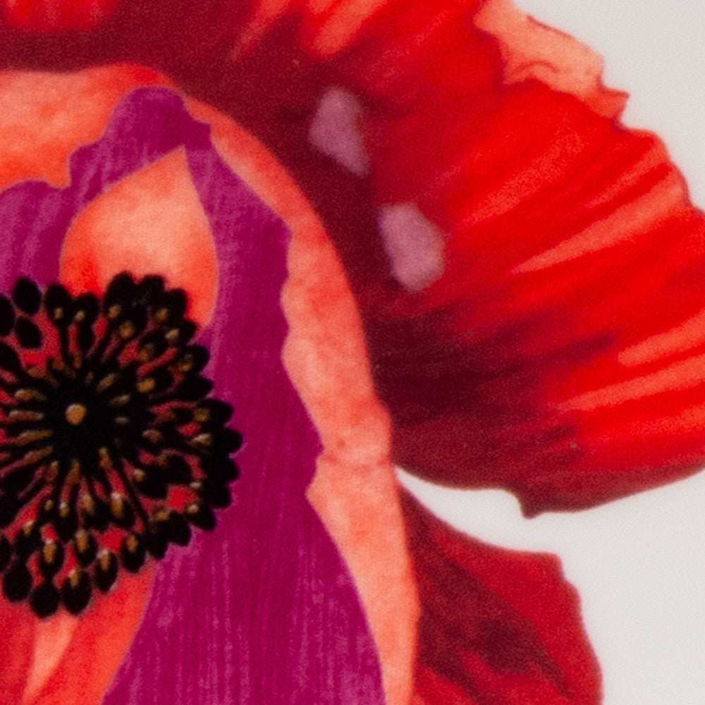 Red and White Six Piece Square Floral Bone China Service For Six Dinner Plate Set - Homeroots - Flyclothing LLC