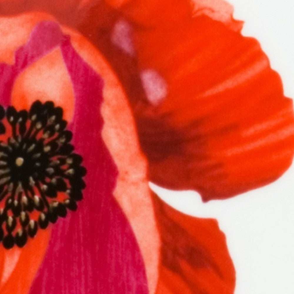 Red and White Six Piece Square Floral Bone China Service For Six Salad Plate Set - Homeroots - Flyclothing LLC