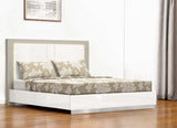 King White High Gloss Bed Frame with LED Headboard - Homeroots - Flyclothing LLC