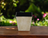 5" Cream Recycled Plastic Indoor Outdoor Rectangular Pot Planter - Homeroots - Flyclothing LLC