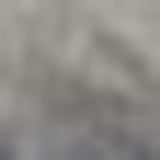 9' X 12' Blue Gray Southwestern Floral Stain Resistant Area Rug - Homeroots - Flyclothing LLC