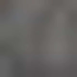 2' X 3' Brown Ombre Tufted Handmade Area Rug - Homeroots - Flyclothing LLC