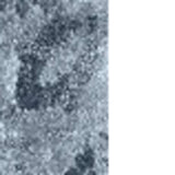 5' X 8' Blue and Ivory Oriental Distressed Area Rug - Homeroots - Flyclothing LLC