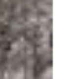 8' X 10' Brown And Dark Grey Medallion Hand Loomed Area Rug - Homeroots - Flyclothing LLC