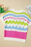 Color Block Crochet Ruffled Short Sleeve Knit Top - Trendsi - Flyclothing LLC