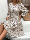 Printed Round Neck Long Sleeve Dress - Trendsi - Flyclothing LLC
