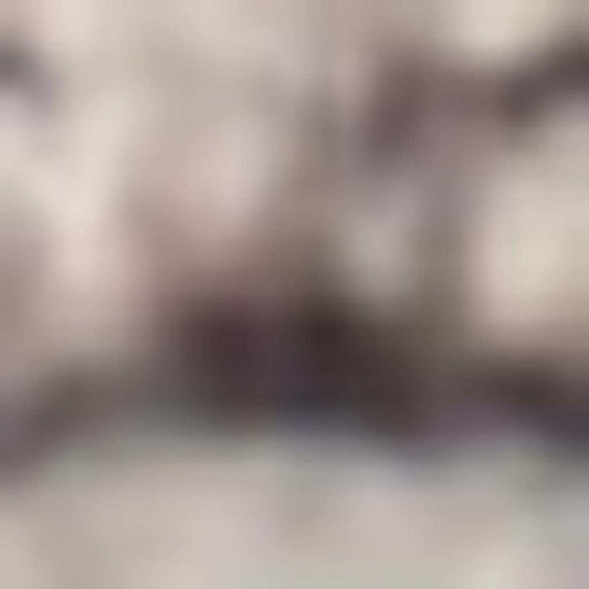 6' X 9' Ivory And Latte Medallion Distressed Washable Area Rug - Homeroots - Flyclothing LLC