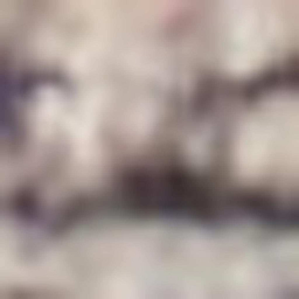 6' X 9' Ivory And Latte Medallion Distressed Washable Area Rug - Homeroots - Flyclothing LLC