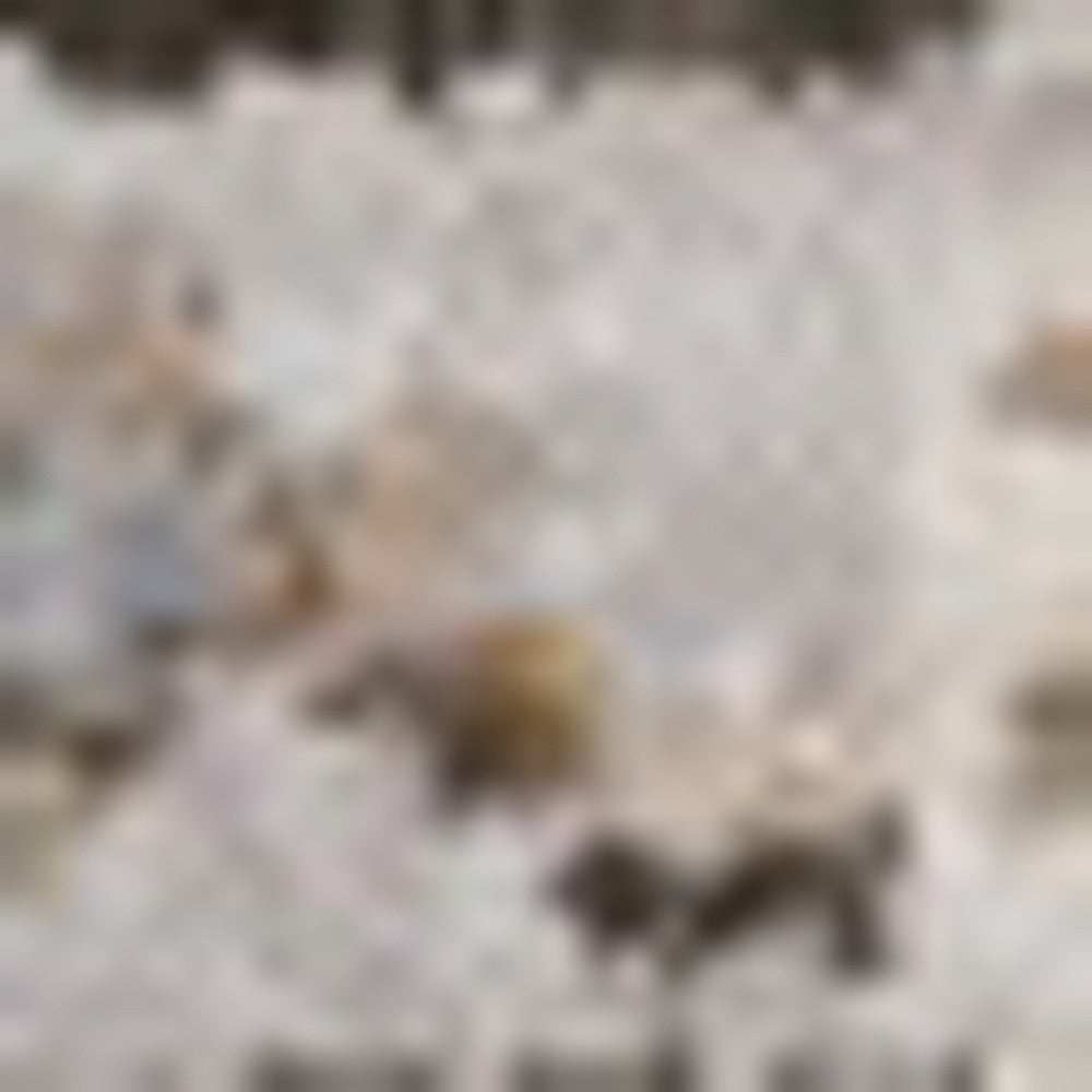 10' X 13' Grey And Blue Oriental Power Loom Stain Resistant Area Rug With Fringe - Homeroots - Flyclothing LLC