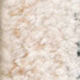 10' X 13' Beige And Grey Oriental Hand Loomed Stain Resistant Area Rug With Fringe - Homeroots - Flyclothing LLC