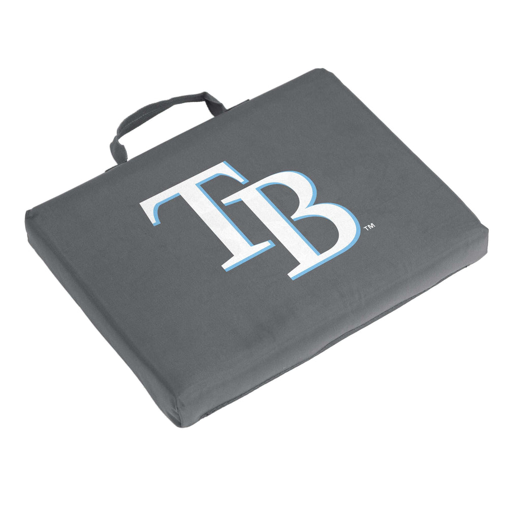 Tampa Bay Rays Charcoal Bleacher Cushion - Logo Brands - Flyclothing LLC