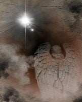 Black Market Art Company Safer Waters Print - Black Market Art Company - Flyclothing LLC