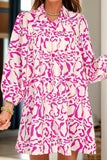 Printed Johnny Collar Long Sleeve Mini Dress - Trendsi - Flyclothing LLC