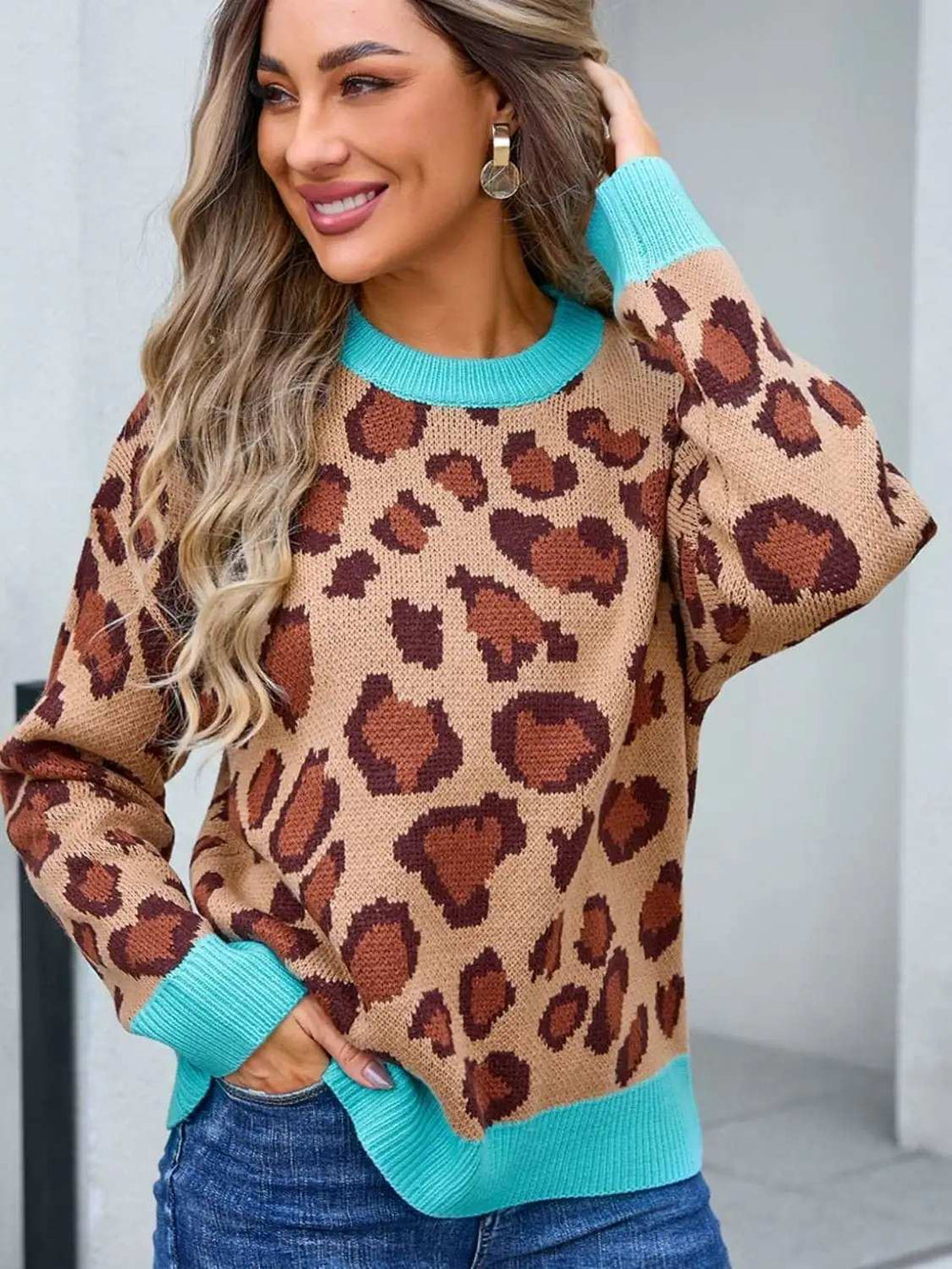 Leopard Round Neck Long Sleeve Sweater - Trendsi - Flyclothing LLC
