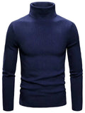 Men's Turtleneck Long Sleeve Ribbed Sweater - Trendsi - Flyclothing LLC