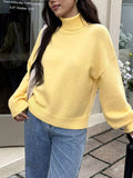 Turtleneck Long Sleeve Sweater - Trendsi - Flyclothing LLC