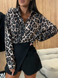 Leopard Collared Neck Long Sleeve Shirt - Trendsi - Flyclothing LLC