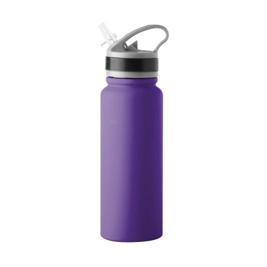 Minnesota Vikings 25oz Logo SingleWall FlipTop Bottle - Logo Brands - Flyclothing LLC